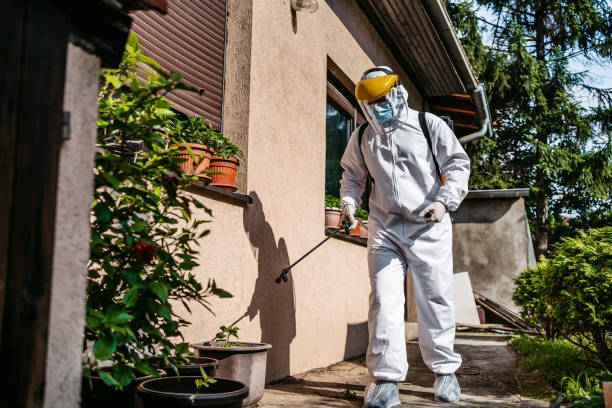 Bird Control in Denton, TX