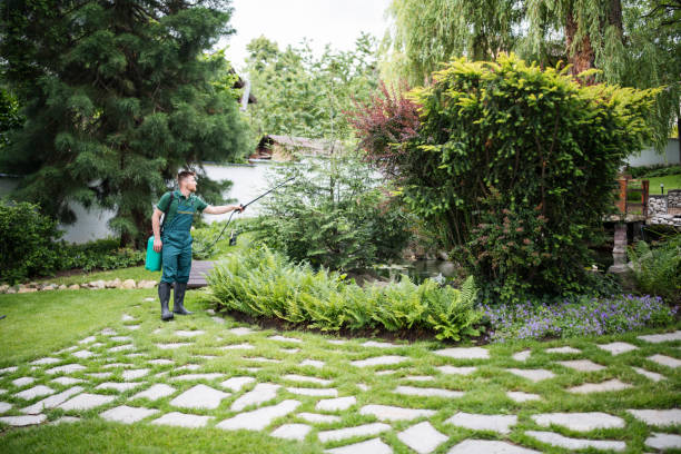 Best Affordable Pest Control Services  in Denton, TX