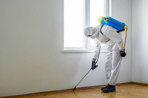 Best Ant Control Services  in Denton, TX