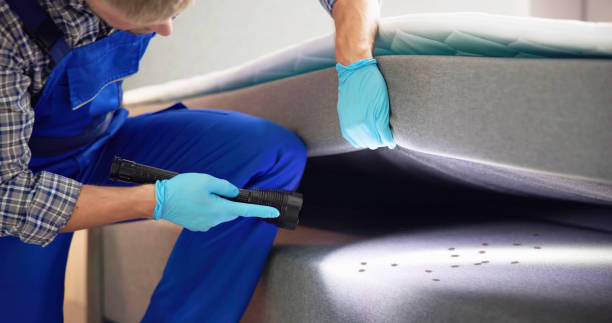Best Pest Control Near Me  in Denton, TX