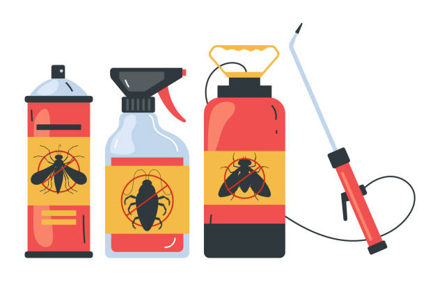 Best Wasp Removal Services  in Denton, TX