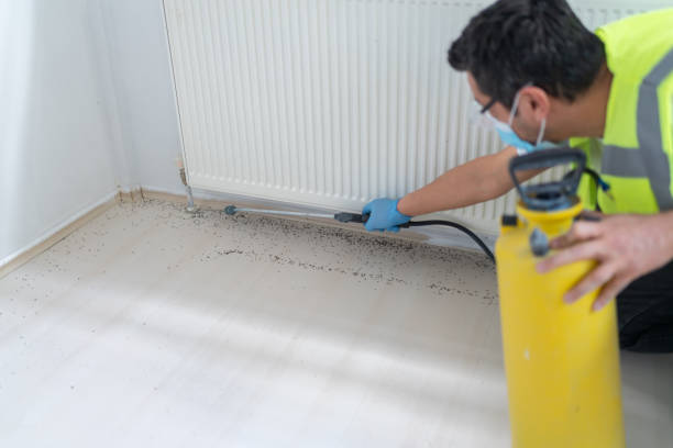Best Bed Bug Extermination  in Denton, TX