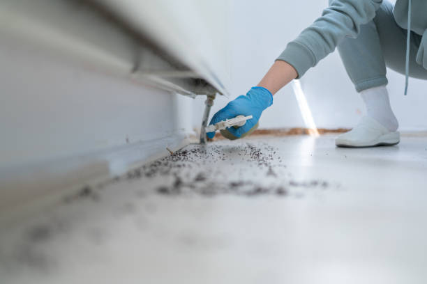 Best Cockroach Control Services  in Denton, TX