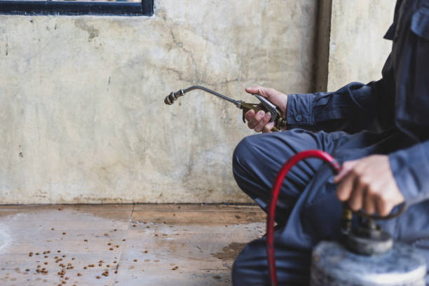 Pest Control for Restaurants in Denton, TX