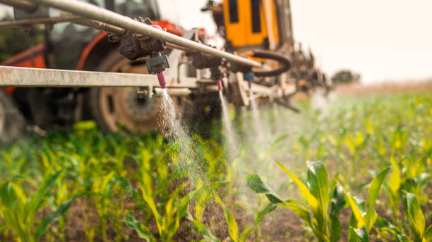 Reliable Denton, TX Pest Control Solutions